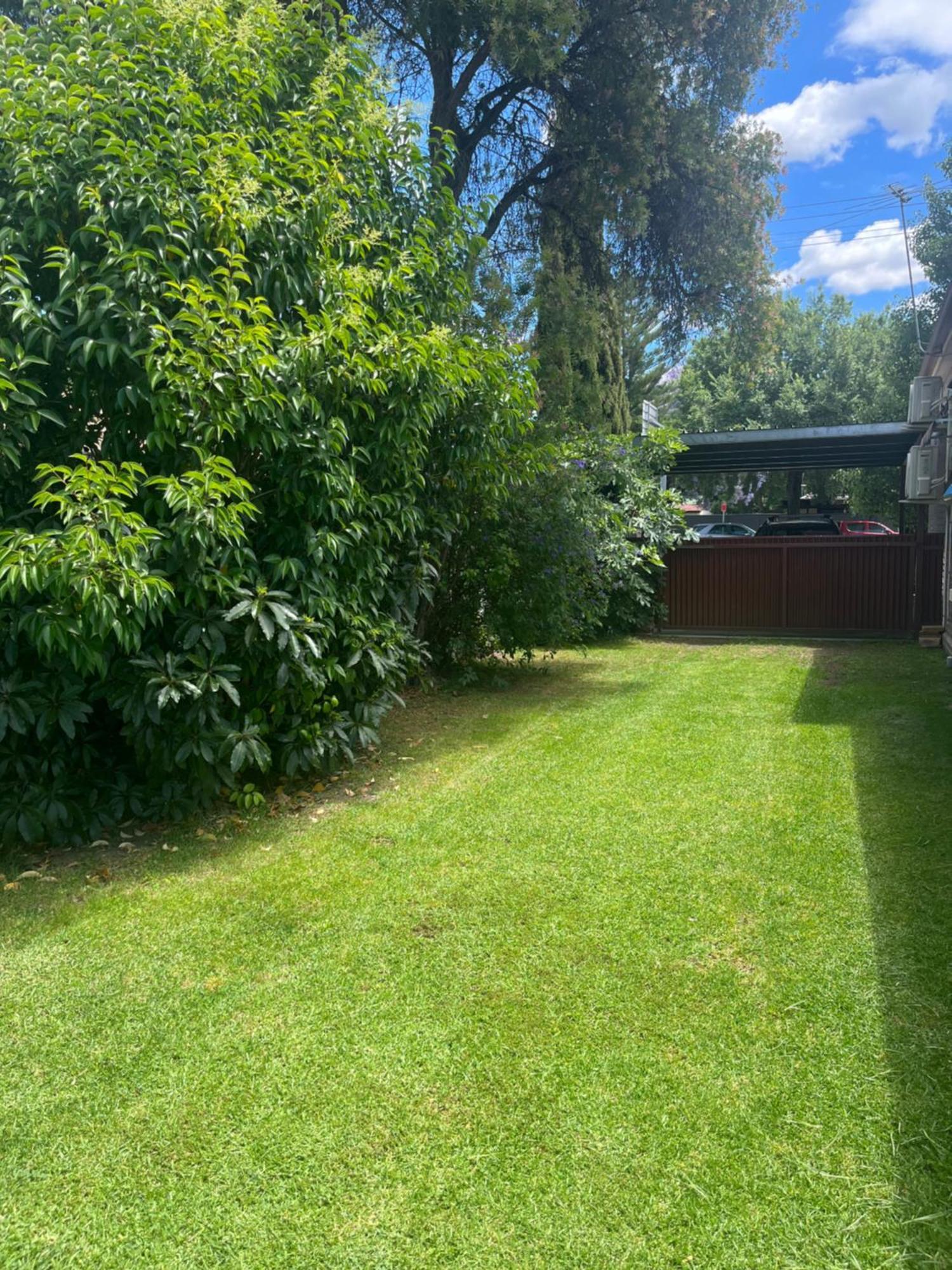 Somerby! Modern Character Property! Cbd,Pets,Park Albury Exterior foto